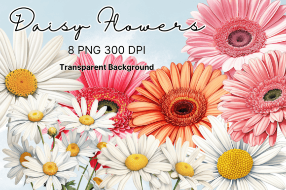 Daisy Flowers Watercolor Clipart: Graphics for Local Branding