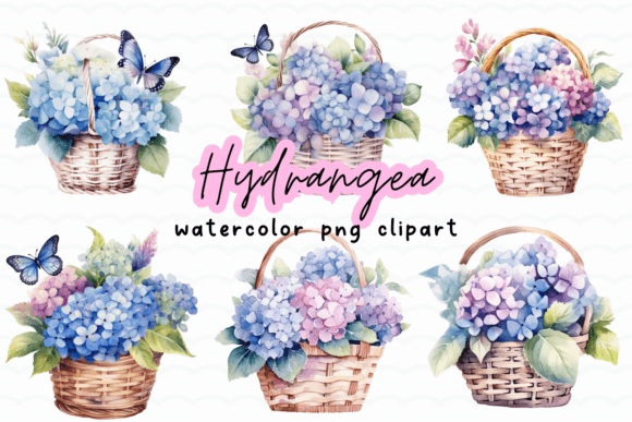Hydrangea Flowers Basket Watercolor PNG