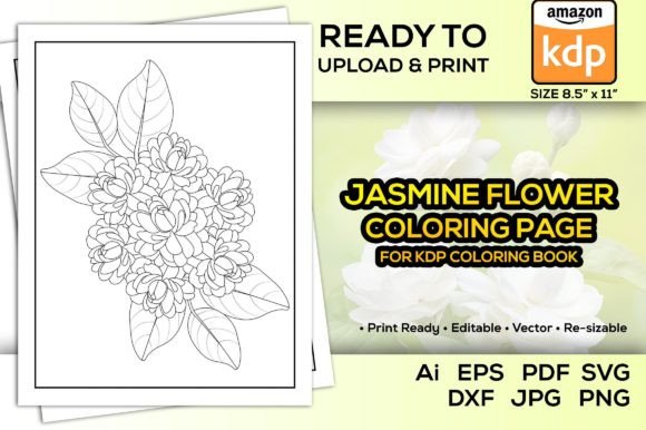 Jasmine Flower Coloring Pages Book KDP Graphics
