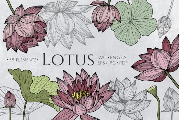 Lotus Flowers SVG Line Art Graphics