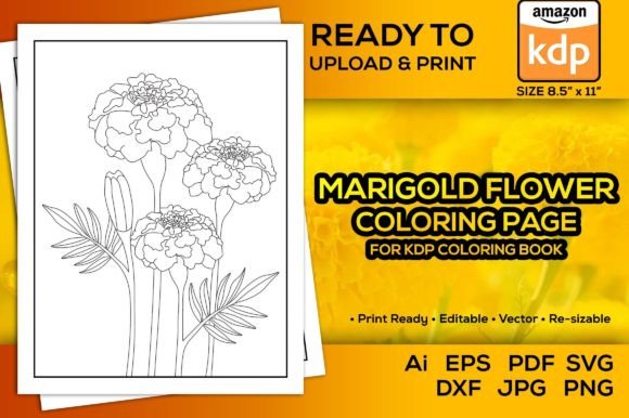 Marigold Flower Coloring Pages Book Kdp: Graphics & Coloring Pages Amp