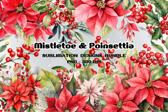 Mistletoe Poinsettia Flowers Christmas Graphics