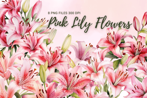 Pink Lily Flowers Watercolor Clipart: Graphics for Elegant Branding
