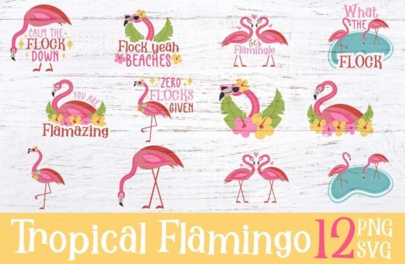 Summer Tropical Flamingo - PNG SVG