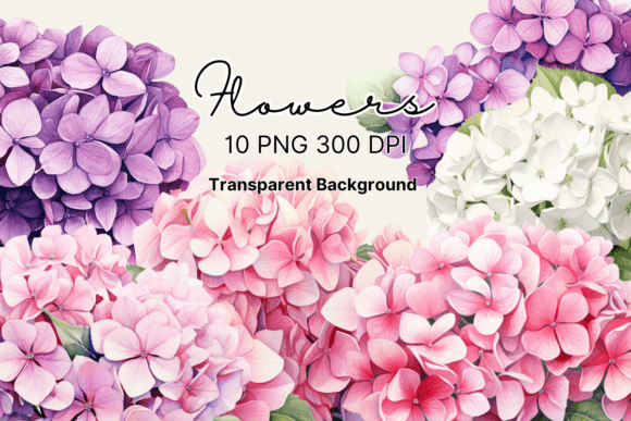 Watercolor Hydrangea Flowers Clipart