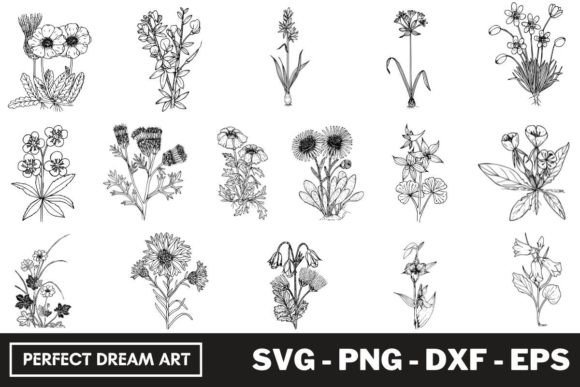 Wild Flowers Silhouette Bundles: Graphics & Illustrations for Branding